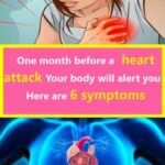 Heart Attack Emergency: What to Do in the First 10 Seconds to Save Your Life